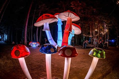 Because of the intense emotions that psychedelics. . Psychedelic mushroom festival